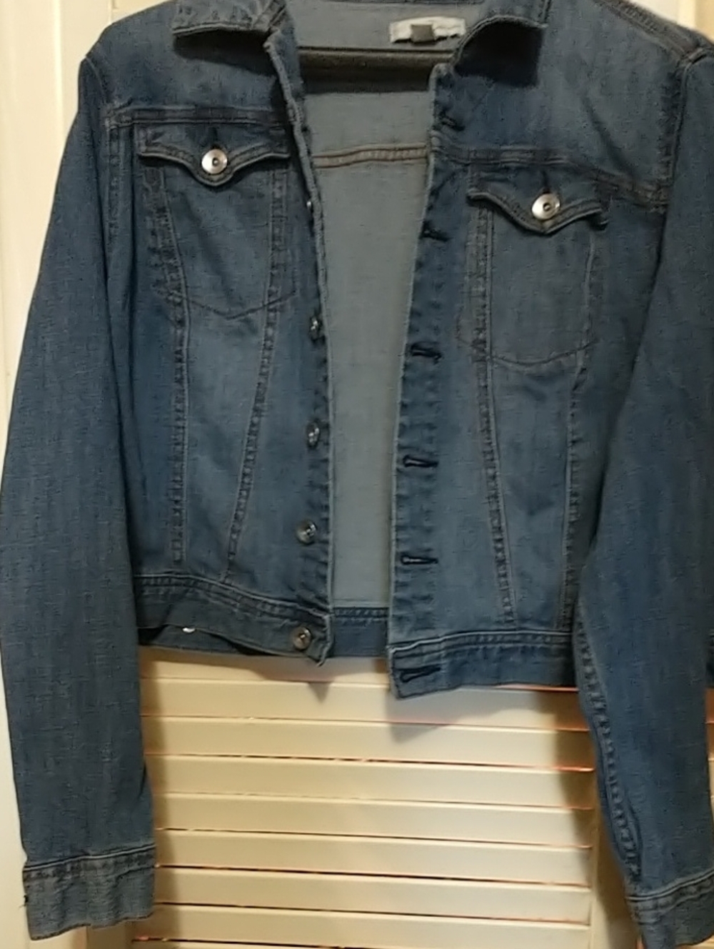 1946 Denim Classic Women's Blue Denim Jean Jacket Sz LG 18-20